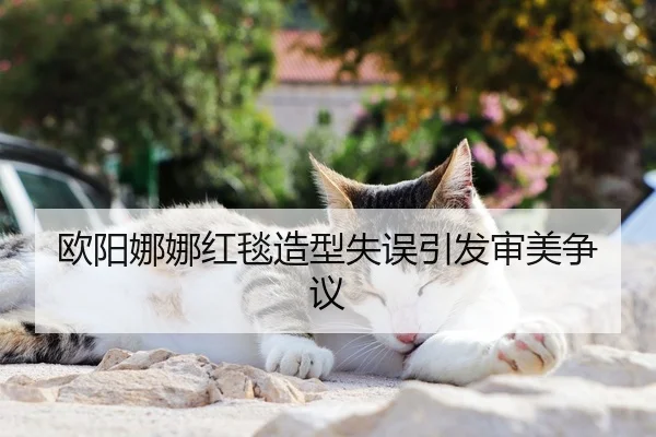 ou-yang-na-na-hong-tan-zao-xing-shi-wu-yin-fa-shen-mei-zheng-yi-2-900.jpg