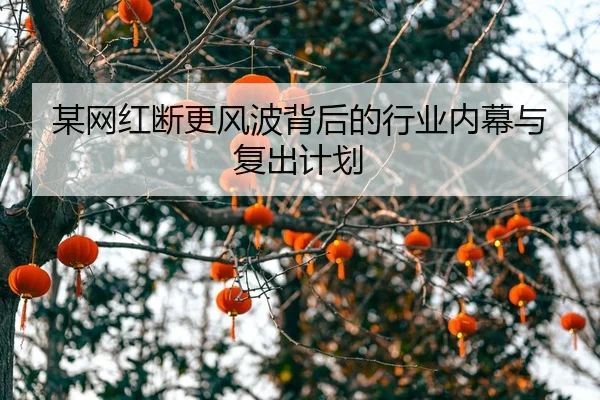 mou-wang-hong-duan-geng-feng-bo-bei-hou-de-hang-ye-nei-mu-yu-fu-chu-ji-hua-2-681.jpg